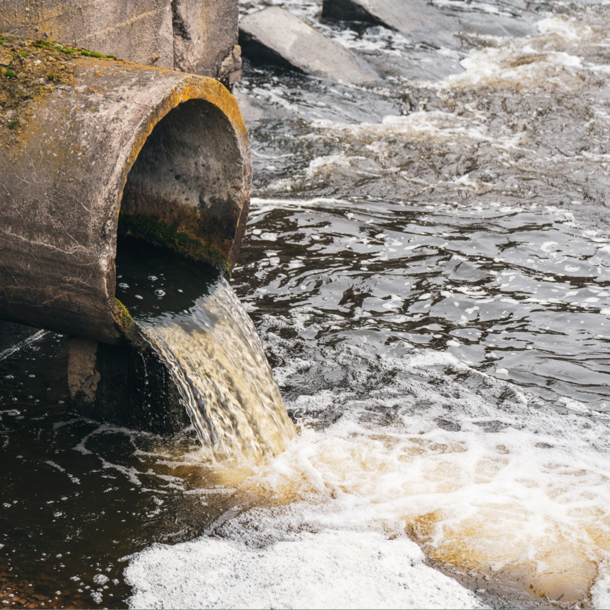 Sewer Spill Scandal: Watchdog Probes Defra, Environment Agency & Ofwat Over Illegal Sewage Dumps