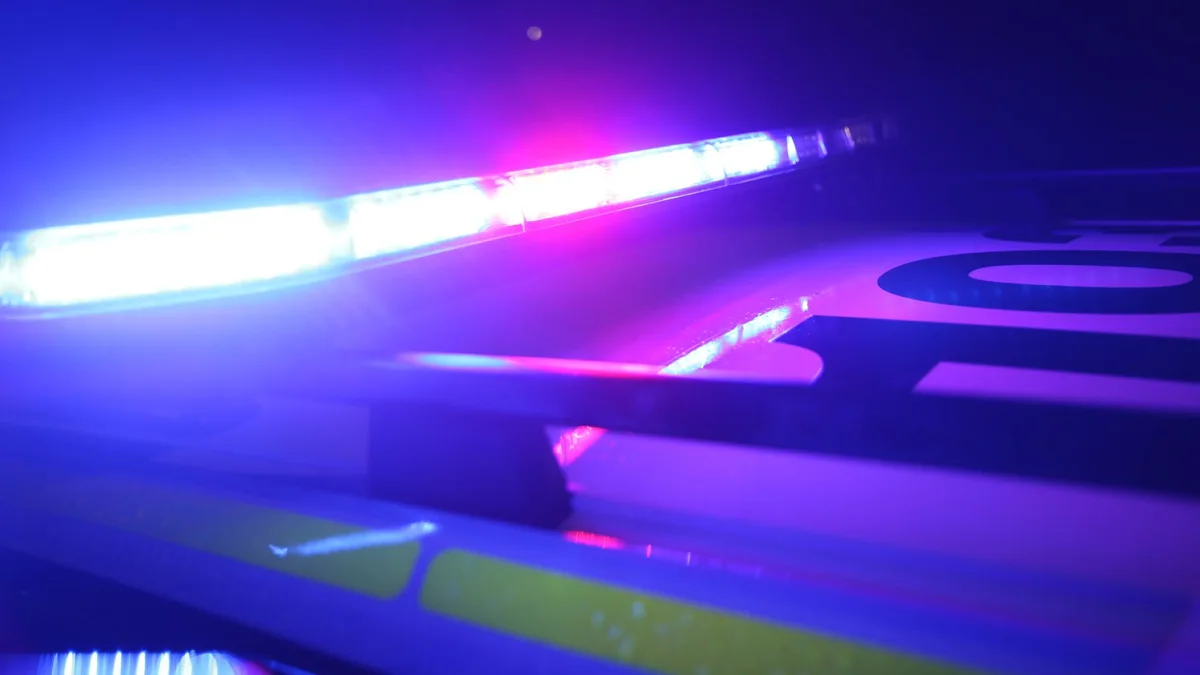 A Suspect Was Arrested After Police Responded To A Fire At A Domestic Cannabis Grow