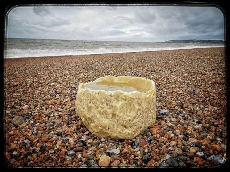 Seaford Town Council Warns Dog Owners After Palm Oil Washes Up On Seaford Beach