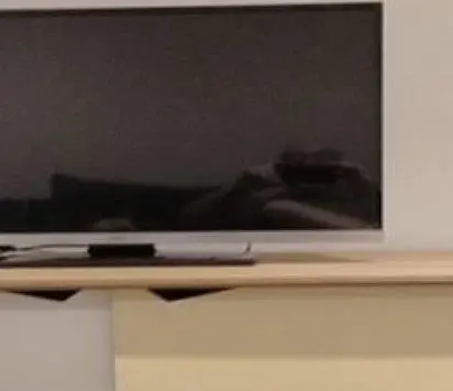 A Drugs Trafficker Helped Investigators Smash His Own Organised Crime Group By Sending A Photograph Of His Dog On Encrypted Communications Platform Encrochat Showing His Partner’s Phone Number On The Animal’s Tag