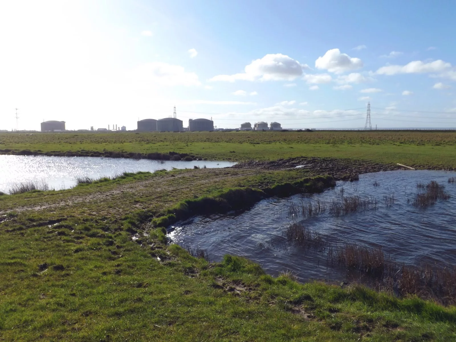 Detectives Investigating A Sexual Assault In Allhallows, Rochester Have Made An Arrest