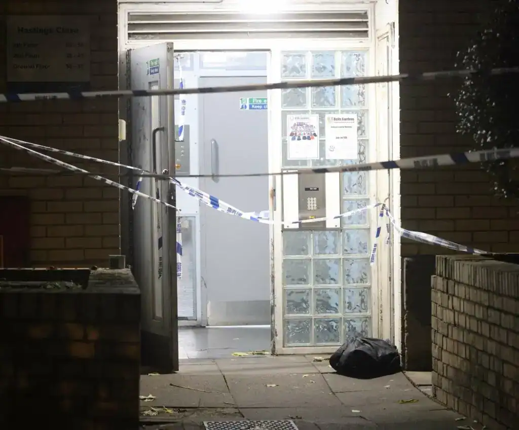 Armed Police Called To Willowbrook Estate Peckham After Reports Of Shots Fired