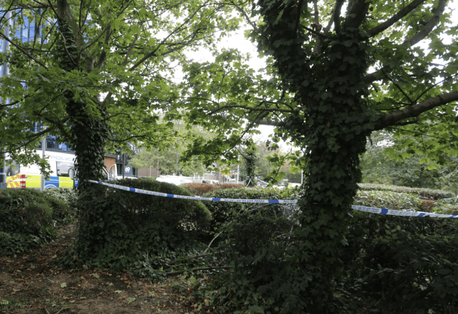 Police Launch Rape Probe In Croydon