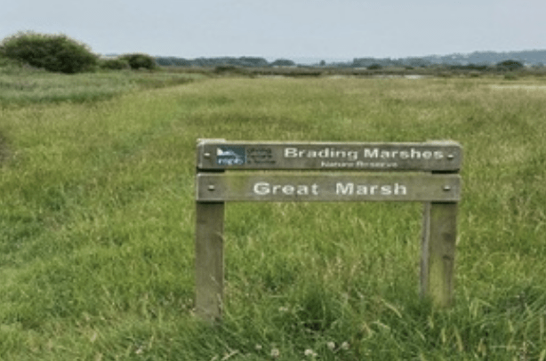 Environment Agency Starts Work On Isle Of Wight Coastal Defence