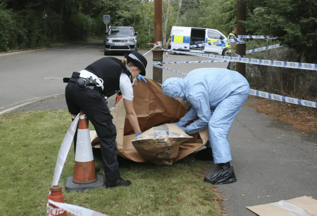 Teen, 19, Stabbed to Death in Bromley’s Jubilee Country Park – Police Hunt Witnesses