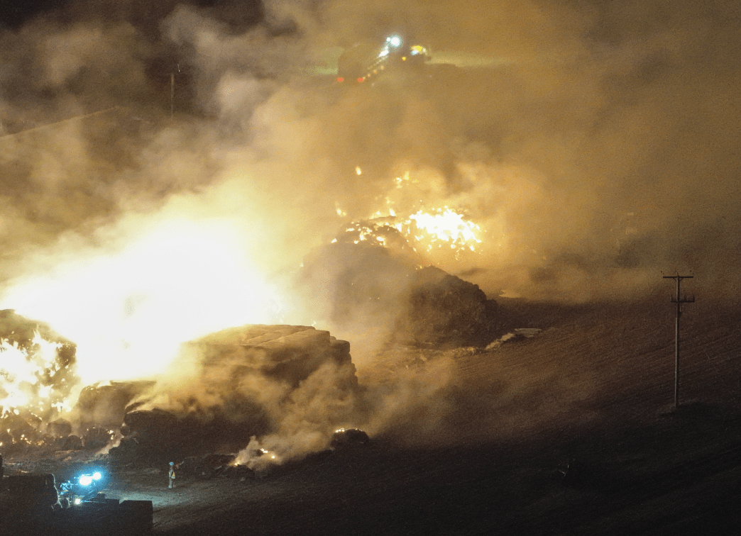 Firefighters Brave Blaze To Rescue 1500 Cattle On Kent Farm