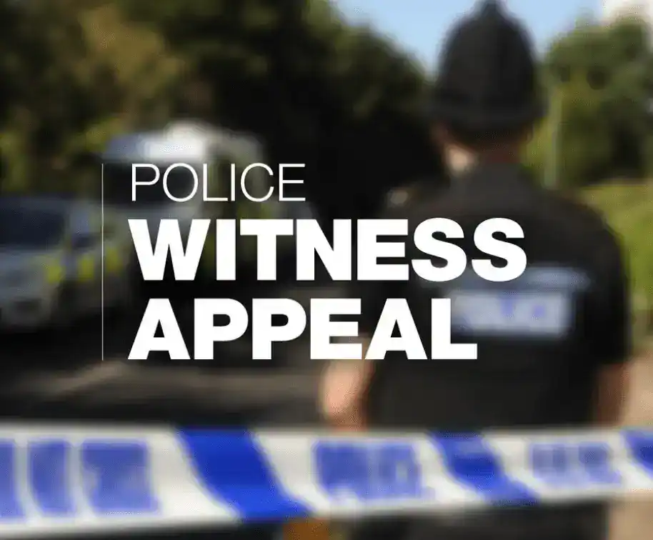 Gosport Teens Busted with Fake Guns and Knives in Elson Lane Standoff – Four Arrested
