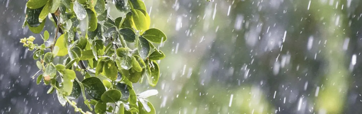 Bank Holiday Weather Whiplash: Sunshine Splits Showers Across UK