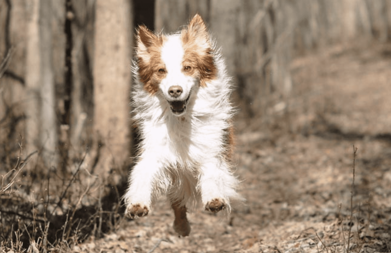 A New Campaign Aimed Mainly At Visitors