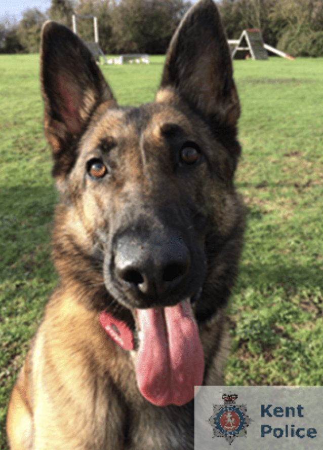 Officers Responding To A Burglary In Progress At A Business In Rochester Detained Two Men Near To The Scene