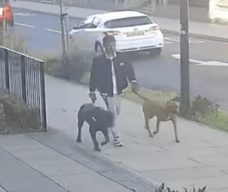 Detectives Investigating A Dog Attack That Left An 11-year-old Girl In Hospital Have Released Video Footage Of The Dogs And Their Owner Detectives Investigating A Dog Attack That Left An 11-year-old Girl In Hospital Have Released Video Footage Of The Dogs And Their Owner