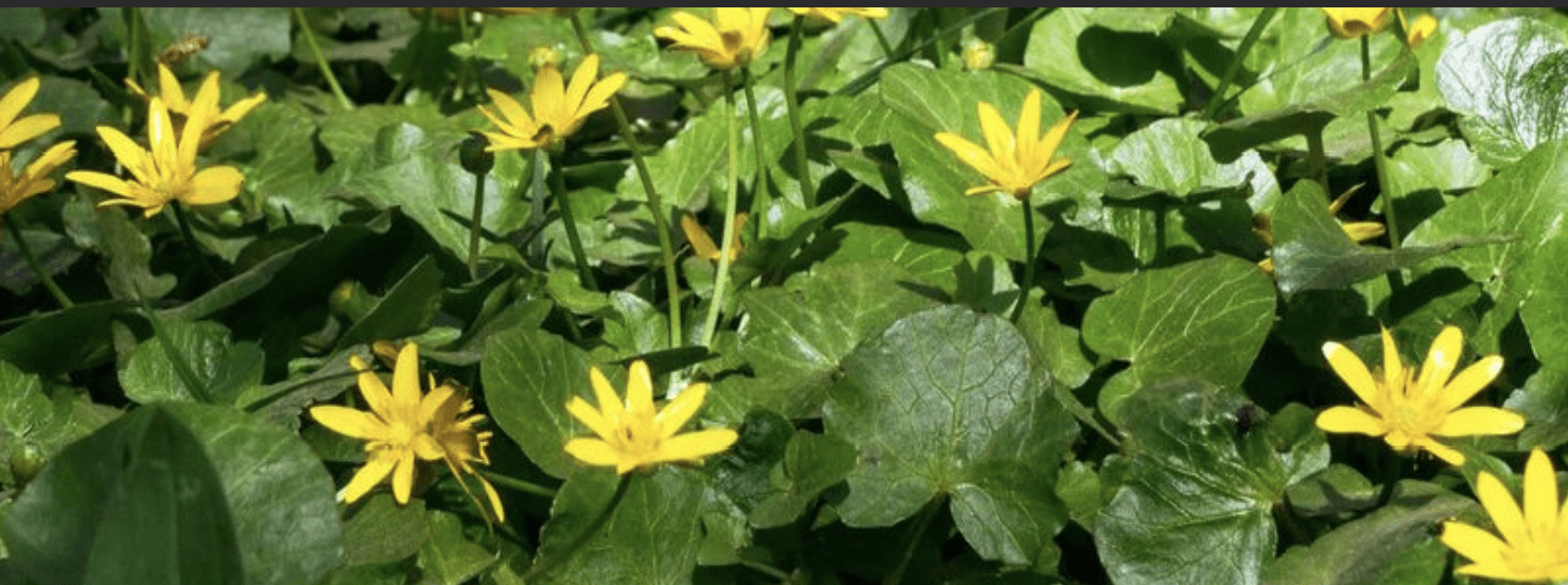 Good Friday: But Not So Good On Easter Monday