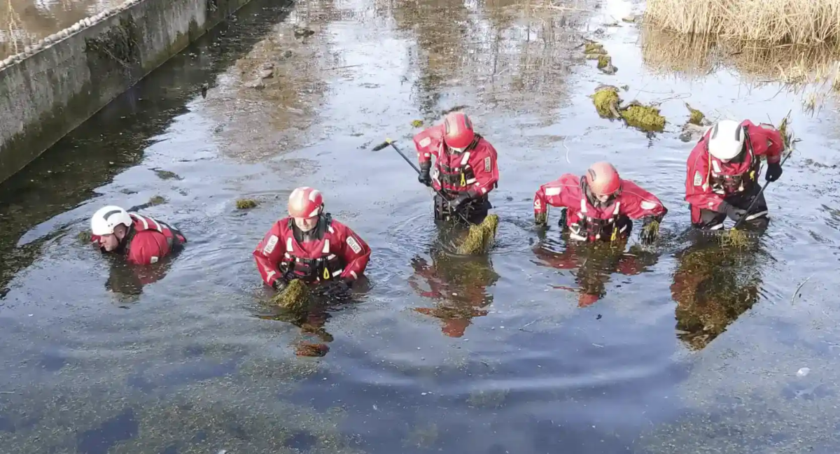 Harlow Murder Probe: Man Charged After Human Remains Found in Oakwood Pond on New Year’s Eve