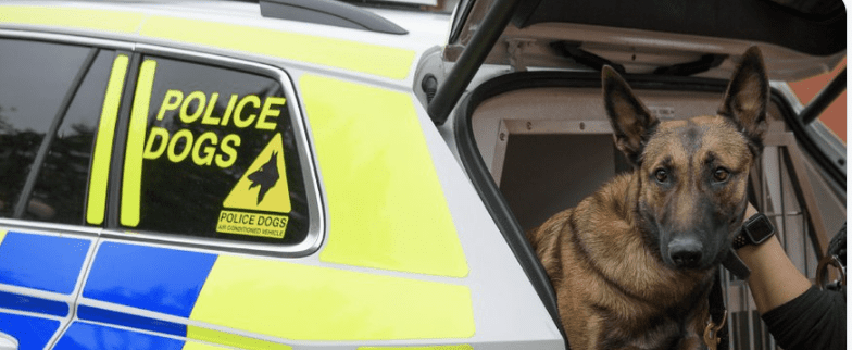 Officers Investigating A Report Of A Robbery In Poole Are Appealing For Witnesses And Information As They Look To Trace The Victim Involved