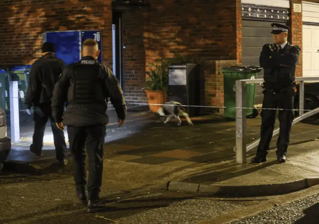 First Picture Of Second Murder Victim Charlie Bartolo Who Was Murdered On Sewell Road In Abbeywood On Saturday Evening