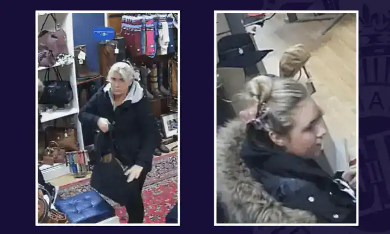 £1,000 Handbag Heist: Police Hunt Two Women After Newark Shop Theft