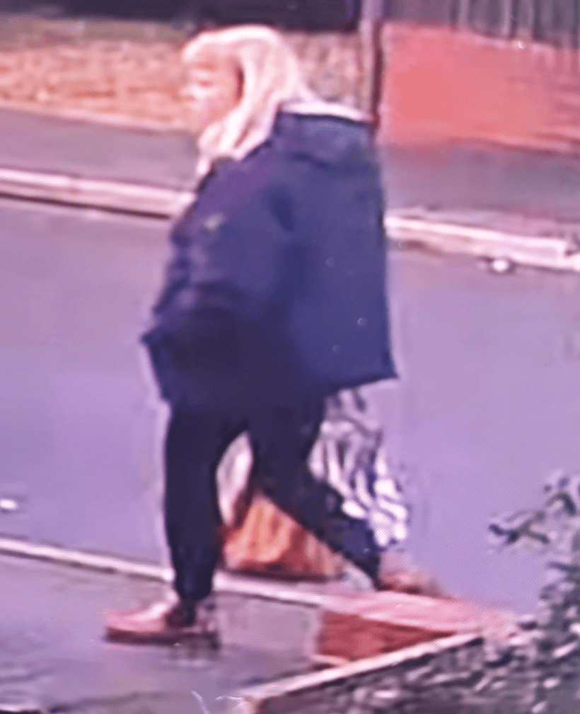 Officers Searching For A Missing Woman From Poole Are Renewing Their Appeal For Information And Issuing A New Photo Of Her