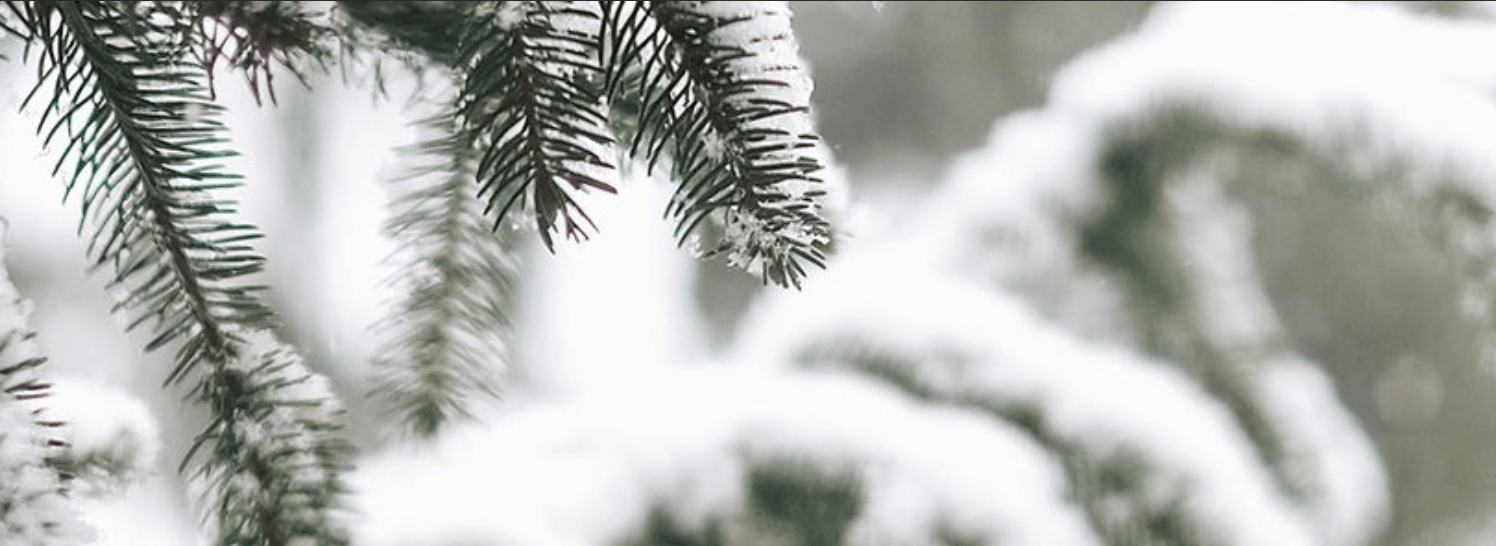 A Brief Respite For Some Before Cold Returns