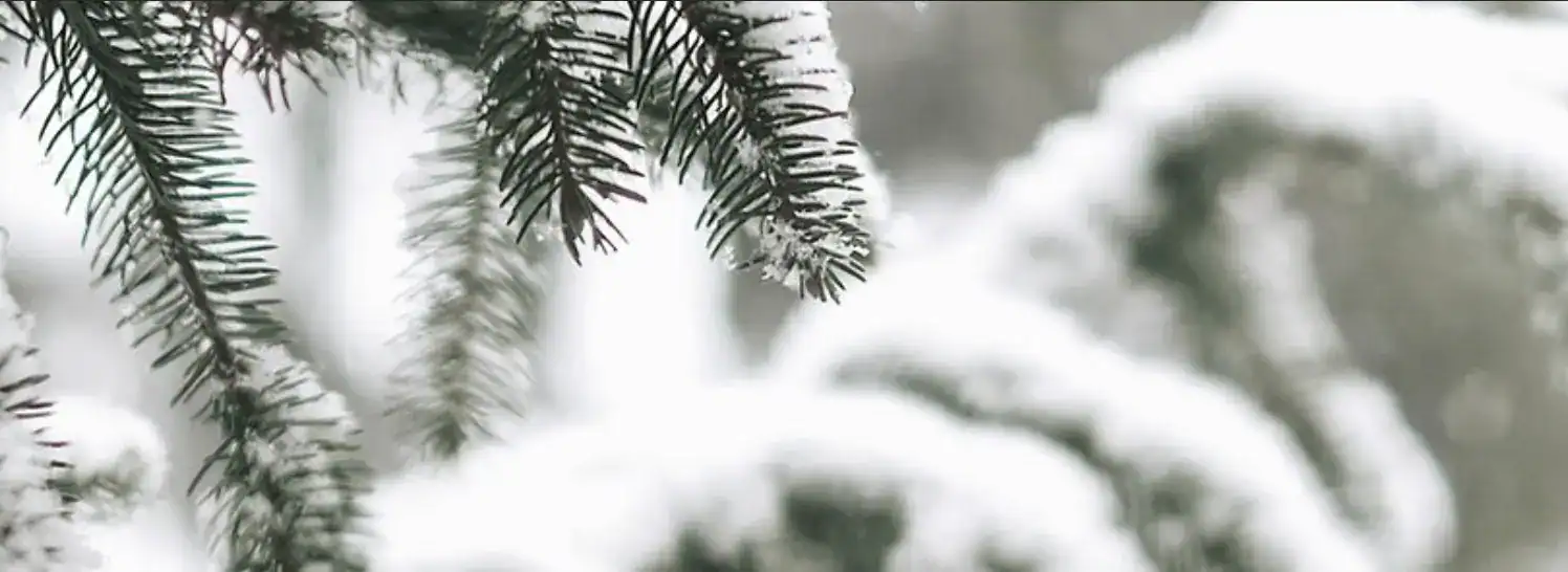 Winter Break Ends: Frost and Snow Set to Return with New Cold Snap Across UK