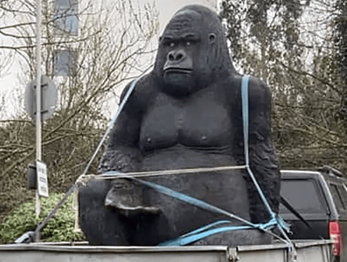 After A Theft From A Lanarkshire Garden Centre, Police Are Investigating Sightings Of A Giant Gorilla Statue On Motorways Across England