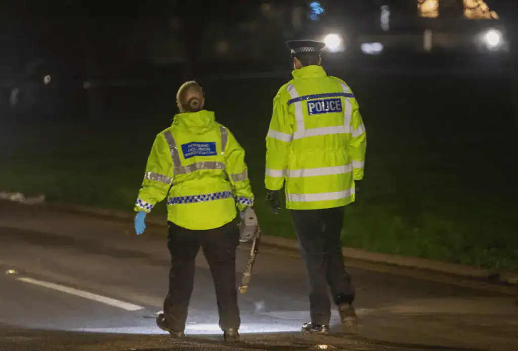 "Witnesses "Witnesses