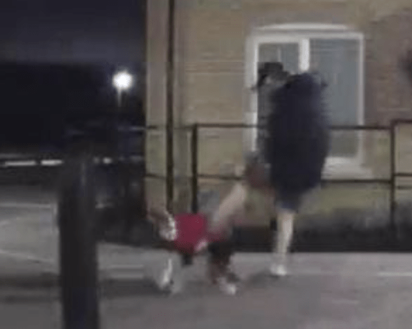 A Man Was Arrested After Video Footage Of A Dog Being Kicked Surfaced