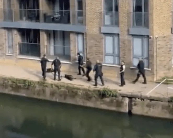 Met Stands By Officers After Man Is Tasered And Two Dogs Shot Dead After Attacking A Woman In East London Park