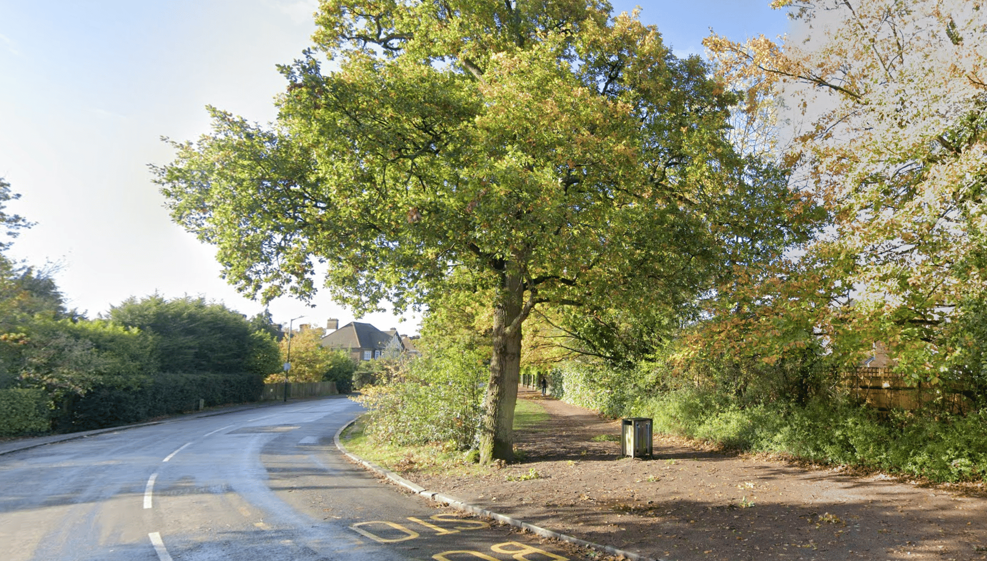 Officers Are Renewing Their Appeal For Information After A Pedestrian Died In Hospital Following A Collision In Tunbridge Wells