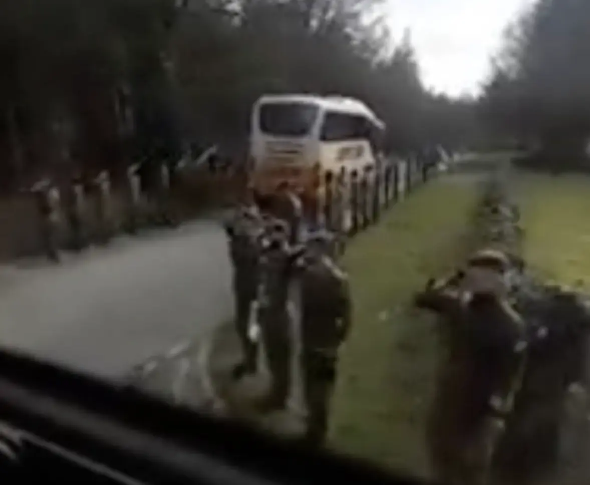 A Video Of British Troops Standing In A Guard Of Honour For Ukrainian Soldiers Trained In The Uk Has Surfaced Online