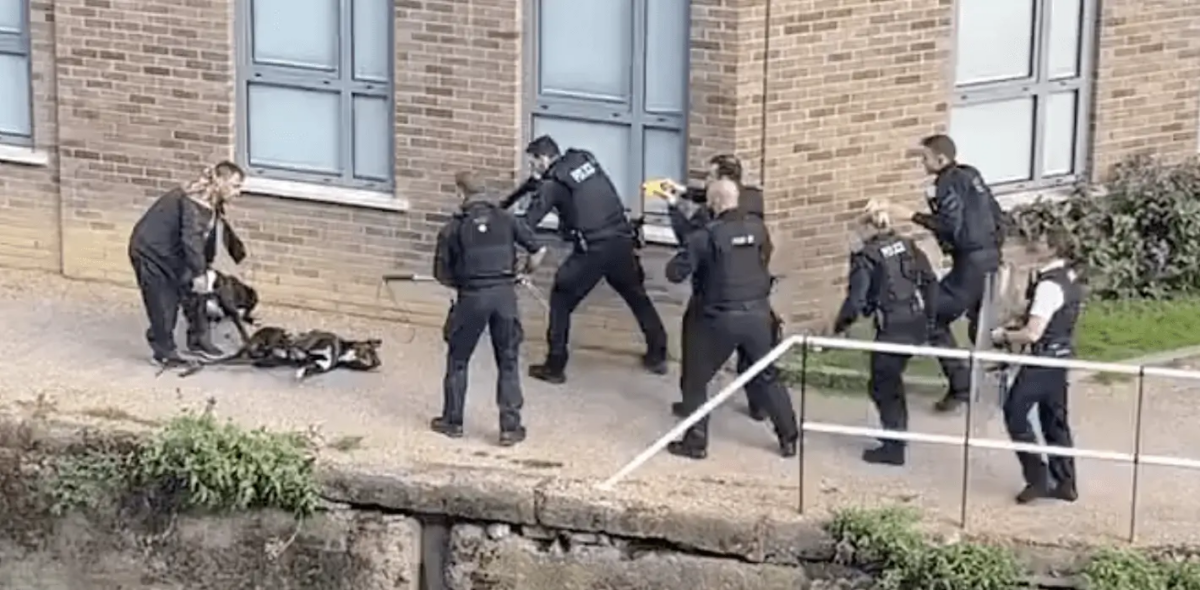 A Man Has Been Charged With A Dangerous Dog Offences Following An Incident In Tower Hamlets.