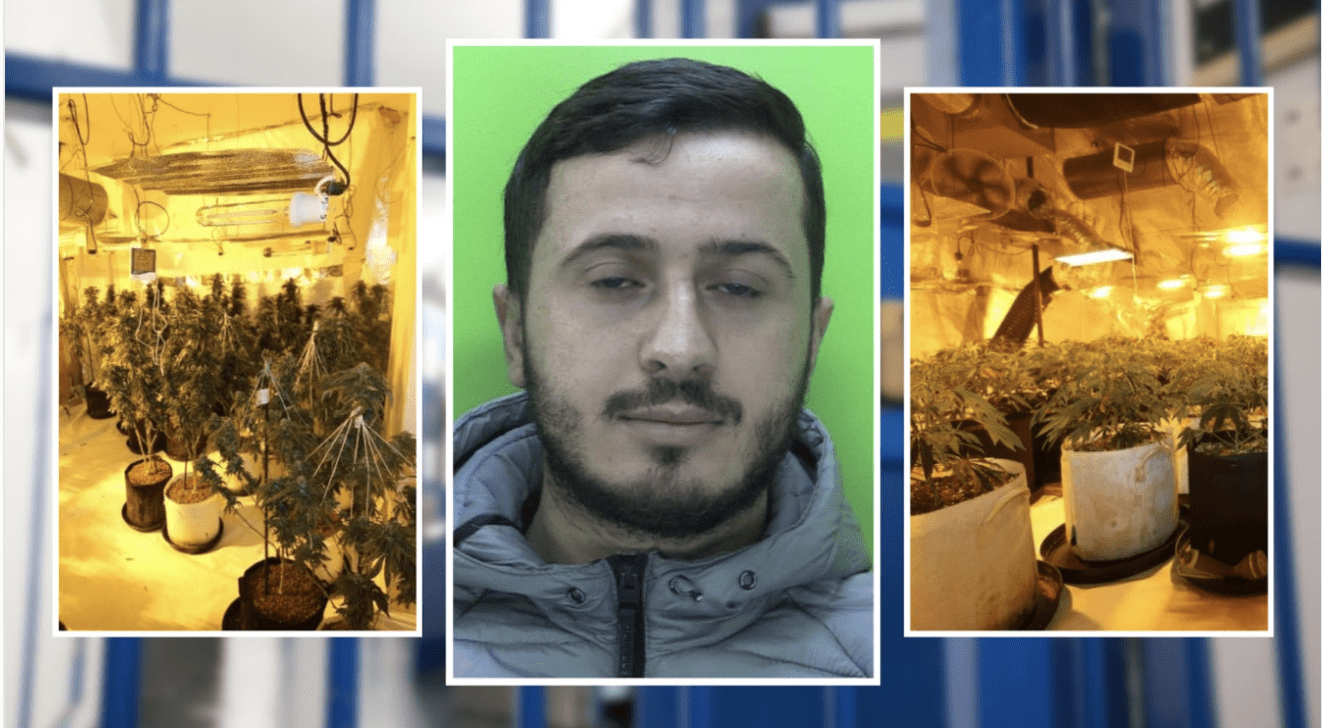 A Cannabis Cultivator Has Been Jailed After Police Discovered A Large Grow At His House