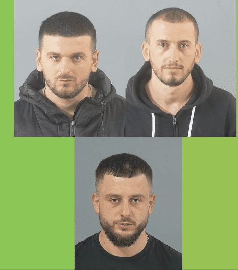 Three Men Have Been Jailed After Officers Seized Over 230 Mature Cannabis Plants From A Factory Set Up In Southampton