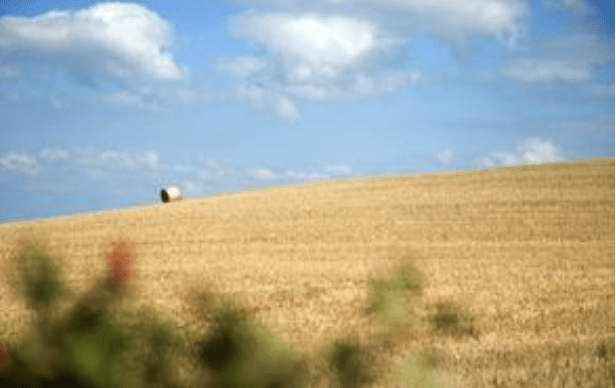 Farmers Can Now Apply For The Basic Payment Scheme And Claim For Their Existing Countryside Stewardship Revenue And Environmental Stewardship Agreements