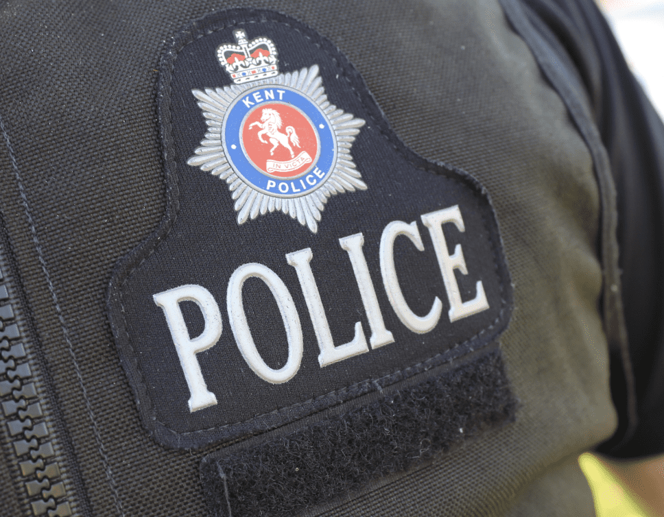 Kangoo Van  In Collision With A Woman Who Was Walking Two Dogs