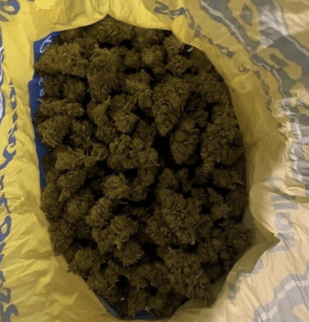 Cops Swooped In And Arrested A Teenager Accused Of Dealing Cannabis