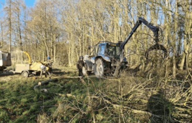Chalk Stream Restoration Project Brings Biodiversity And Water Quality Improvements