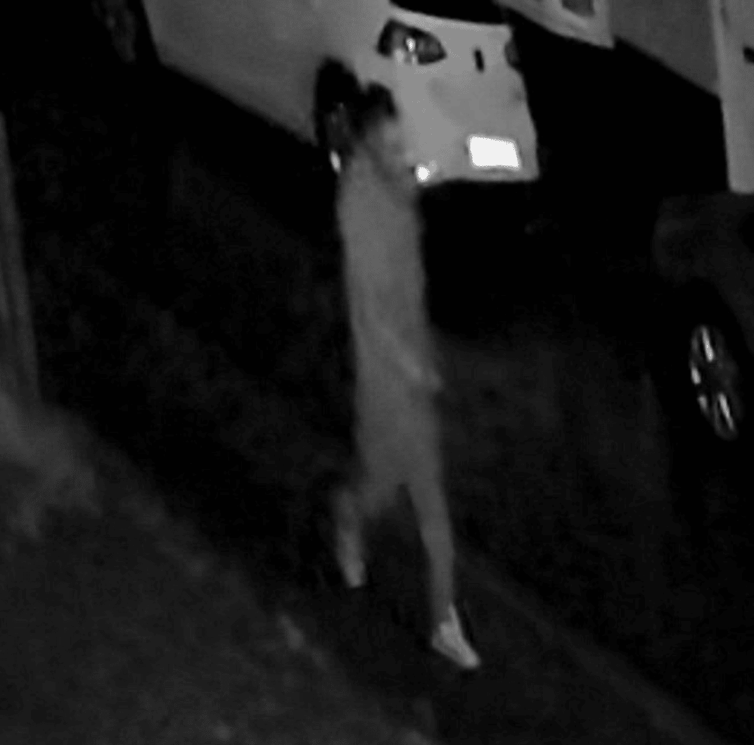 Police Launch Manhunt For Ashford Rapist