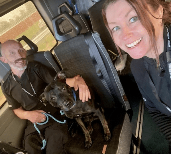 In A Heartwarming Reunion That Spanned Over 18 Months And Two Cities, A Dog Named Ollie Has Been Joyfully Reunited With His Overjoyed Owner