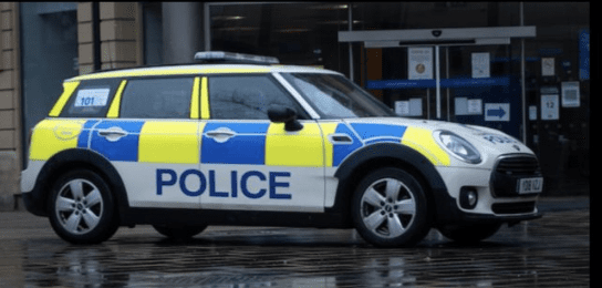 The Woman Had Opened Her Door To Let Her Dogs Outside When The Man Forced His Way In, Grabbing Her Neck And Pushing Her To The Ground