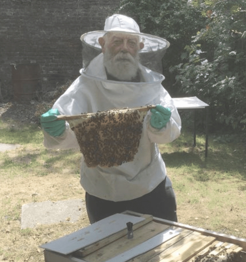 A Pensioner From West London, 82, Is Furious After Half A Million Bees Were Released By Stupid Vandals' Who Caused £10k Damage