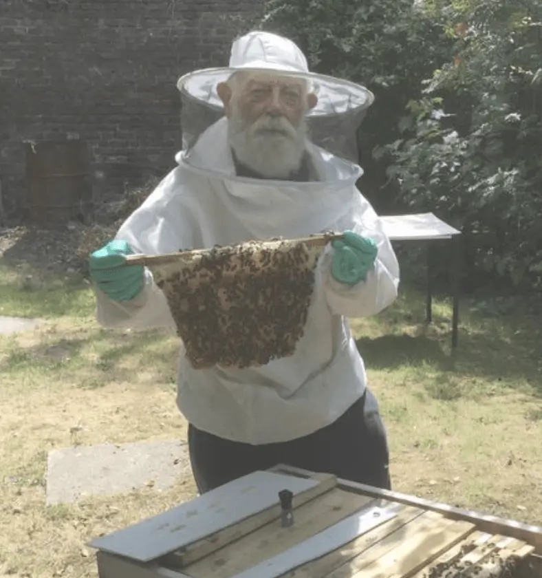 A Pensioner From West London, 82, Is Furious After Half A Million Bees Were Released By Stupid Vandals' Who Caused £10k Damage