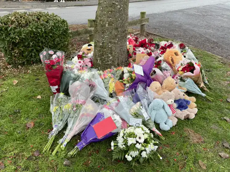 Three Boys Aged 8, 10, 11 Die After Falling Through Ice at Solihull’s Babbs Mill Park Lake