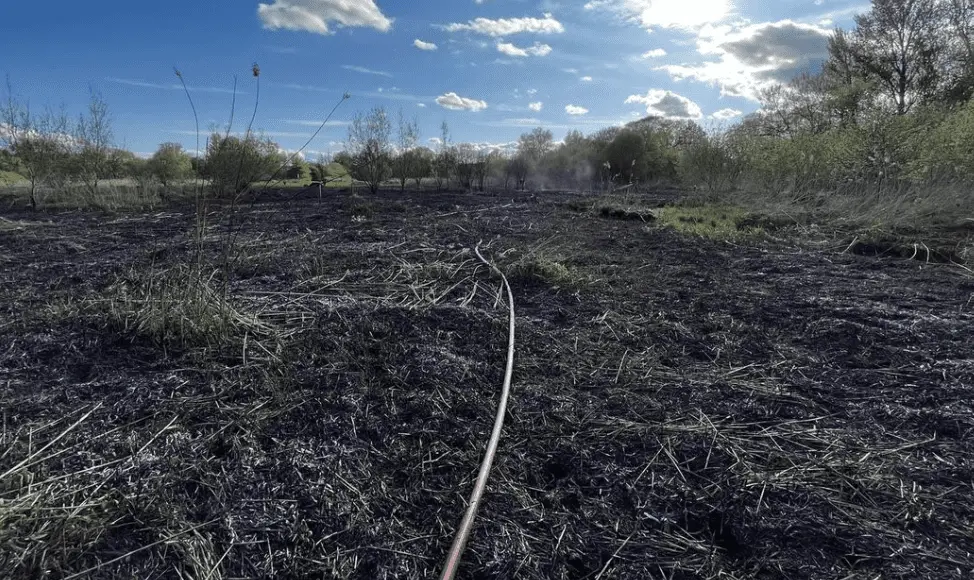 Fire crews tackled a large blaze within reed beds at a Winchester nature reserve on Gordon Road on bank holiday Monday