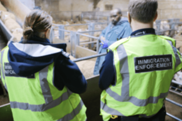 Two Arrested In Immigration Raid At Manchester Abattoir