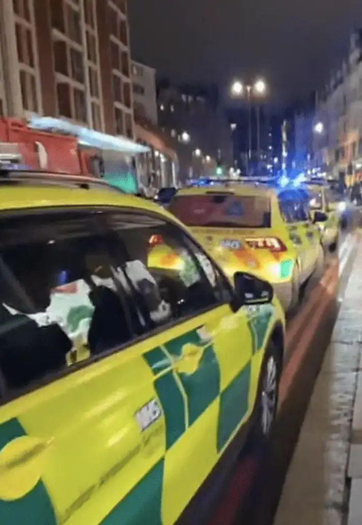 Stabbing Chaos at Harrods Louis Vuitton: Man Injured, Police Investigate