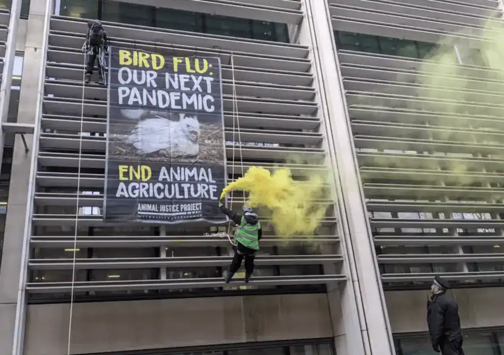 Protesters Scaling The Side Of The Home Office Building In London