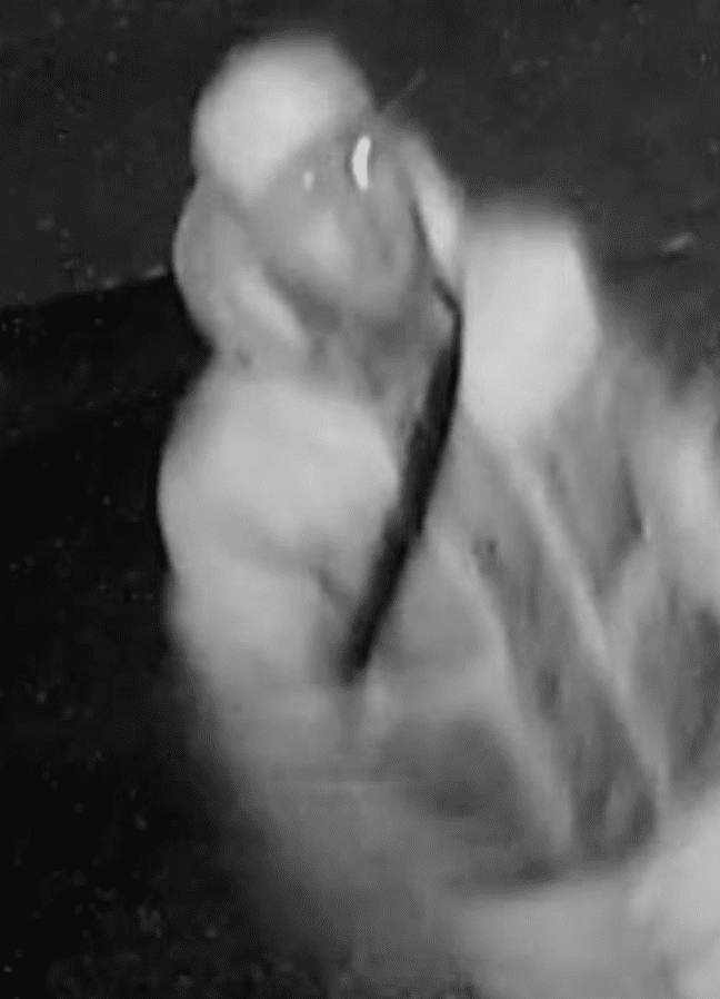 Cctv Images Have Been Issued Of A Man Police Would Like To Speak To Following Thefts From Cars In The Dover District