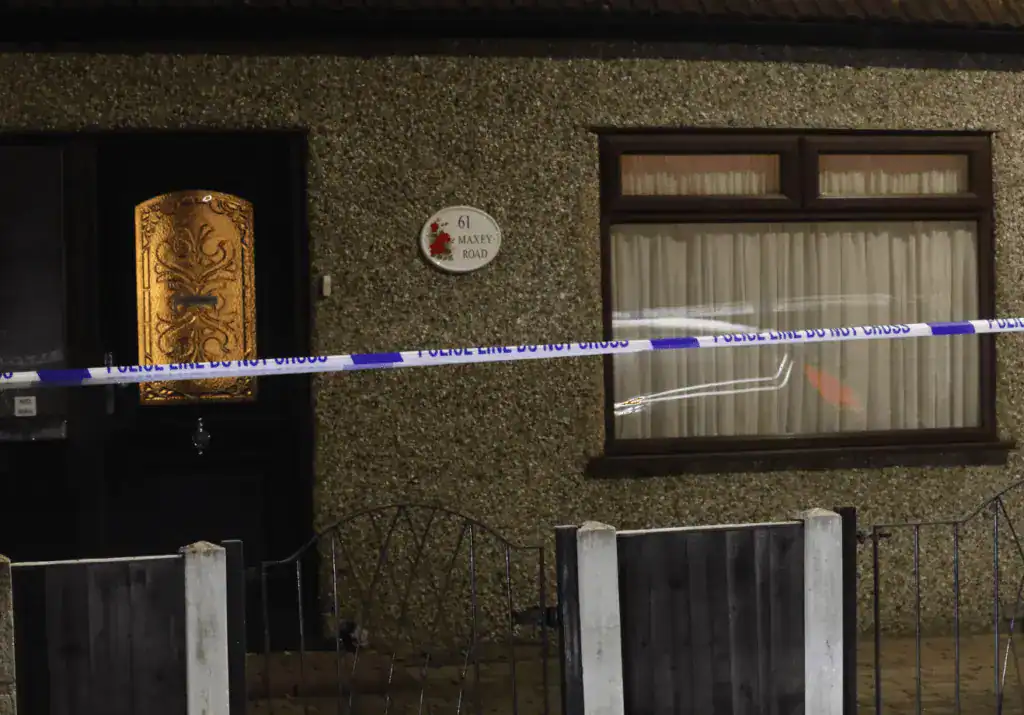 A Man Arrested In Connection With The Deaths Of Two Children In Dagenham Has Been Released Without Charge. A 44-year-old Woman Arrested In Connection With The Incident Is Still Being Held