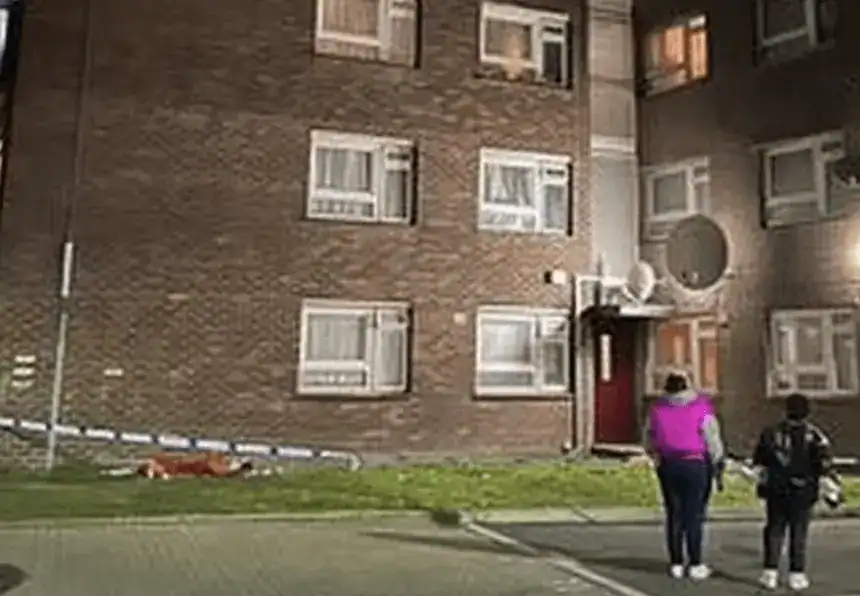 Toddler Falls from Eighth-Floor Flat in Surrey – Two Women Arrested on Child Neglect Charges