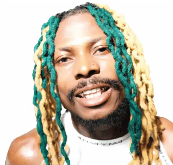 The Met Has Requested A Summary Review Of The Brixton O2 Academy's Premises Licence After Two People Were Crushed During A Concert